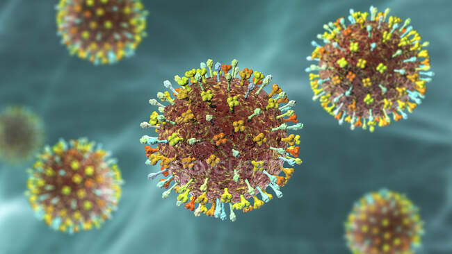 Hendra virus, computer illustration. Hendra virus infects both humans and horses and is passed on by fruit bats. It is rare and found mainly in Australia — Stock Photo