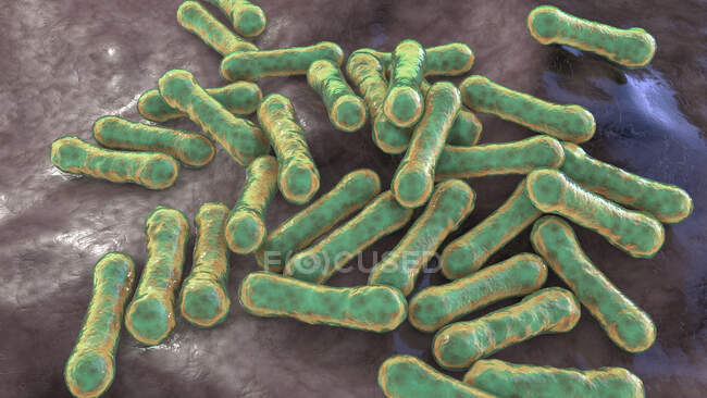 Corynebacterium diphtheriae, комп'ютерна ілюстрація. C. diphtheriae - грам-позитивна паличкоподібна бактерія, яка передається дихальними краплями і викликає дифтерію хвороби. — стокове фото