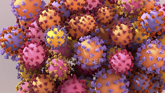 Illustration conceptuelle des variantes du coronavirus SRAS-CoV-2 avec des protéines d'enrichissement variantes attachées. — Photo de stock