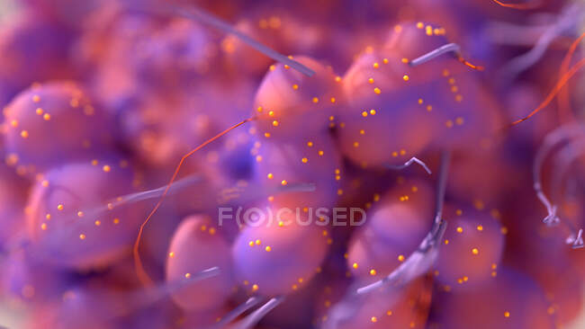 Close-up of cancer cells, conceptual illustration. — Stock Photo