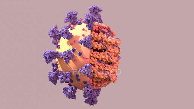 Covid-19 particule de coronavirus, illustration informatique — Photo de stock