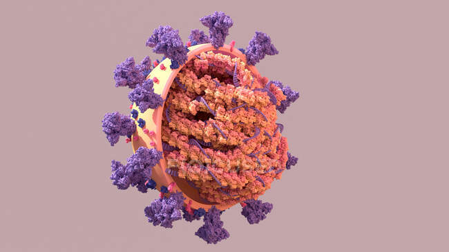 Частица коронавируса Covid-19, компьютерная иллюстрация — стоковое фото