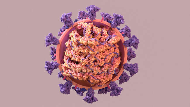 Covid-19 partícula coronavirus, ilustración por ordenador - foto de stock