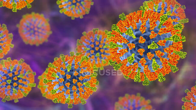 Корь вирусные частицы, иллюстрация. Этот вирус из группы вирусов Morbillivirus состоит из РНК (рибонуклеиновой кислоты) ядро, окруженное оболочкой, усеянной поверхностными белками гемагглютинин-нейраминидазы и белка синтеза. — стоковое фото