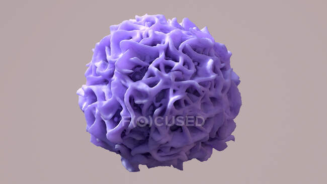 Macrofago púrpura, ilustración por ordenador - foto de stock