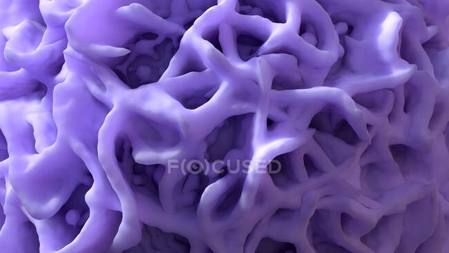 Close-up de um macrófago, ilustração. — Fotografia de Stock