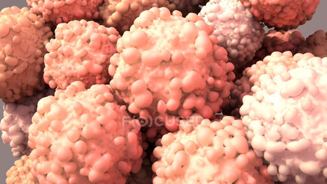 Ракові клітини, комп 