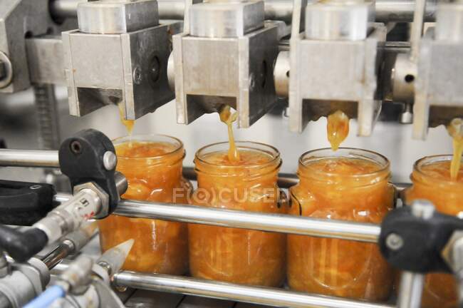 Hand made preserve and jam bottling line — Stock Photo