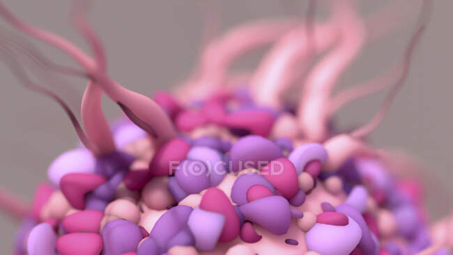 Illustration einer dendritischen Zelle, einer Art weißer Blutkörperchen, die Bestandteil des körpereigenen Immunsystems ist. Dabei handelt es sich um Antigen-präsentierende Zellen (APCs), d.h. sie präsentieren anderen Zellen des Immunsystems Krankheitserreger oder fremde Moleküle (Antigene). — Stockfoto