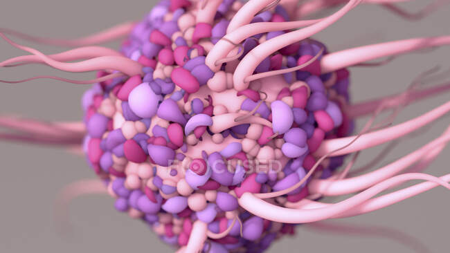 Ilustración de una célula dendrítica, un tipo de glóbulo blanco que es un componente del sistema inmunitario del cuerpo - foto de stock