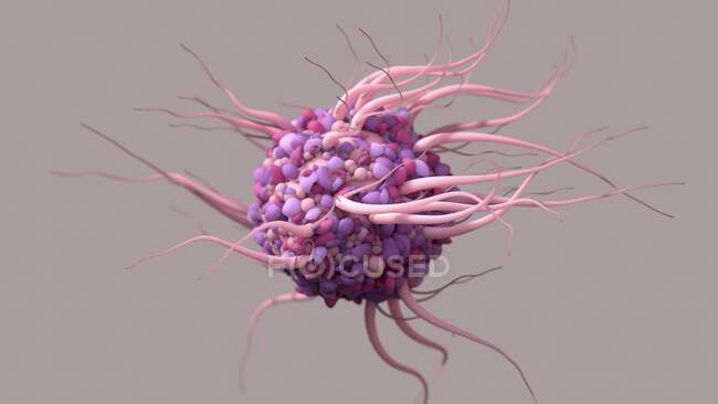 Ilustración de una célula dendrítica, un tipo de glóbulo blanco que es un componente del sistema inmunitario del cuerpo - foto de stock