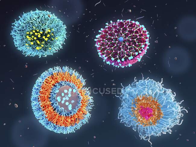 Illustration différents types de nanoparticules polymériques utilisées pour l'administration de médicaments. Dans le sens horaire : nanosphère (en haut à gauche), dendrimer (en haut à droite), micelle de polymère (en bas à droite) et polymérsome (en bas à gauche)). — Photo de stock