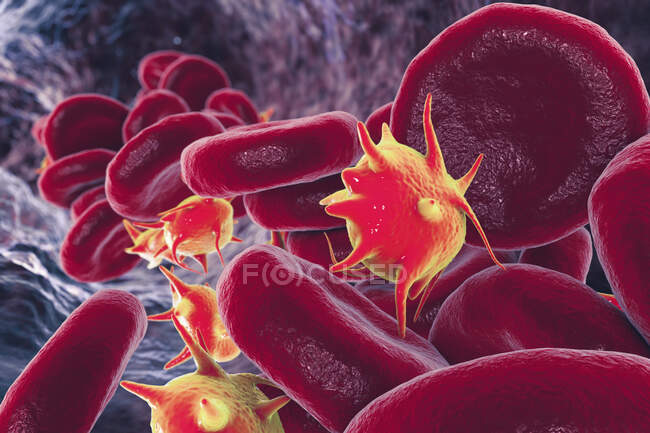 Aktivierte Blutplättchen im Blutfluss, Abbildung. — Stockfoto