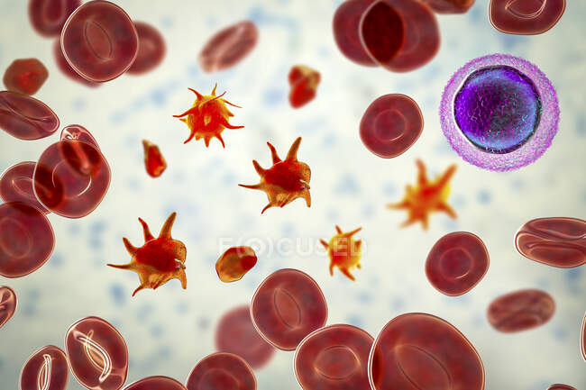 Plaquettes activées dans un frottis sanguin avec globules rouges, illustration. — Photo de stock