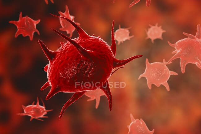 Activated platelets, computer illustration — Stock Photo