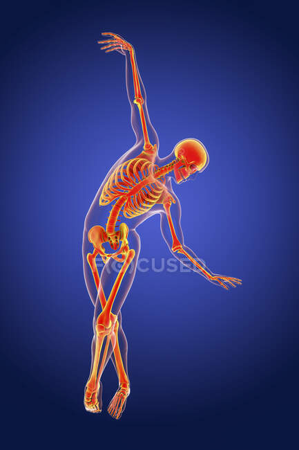 Anatomía de un bailarín, ilustración por computadora. Un hombre en una pose de ballet con esqueleto resaltado mostrando actividad esquelética en el baile de ballet. - foto de stock