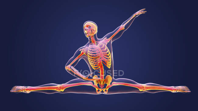 Anatomy of a dancer, computer illustration. A man in a ballet pose with highlighted skeleton showing skeletal activity in ballet dancing. — Stock Photo
