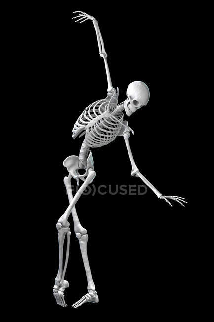 Anatomia di un ballerino, illustrazione al computer. Uno scheletro umano in posa da balletto che mostra un'attività scheletrica nella danza classica. — Foto stock