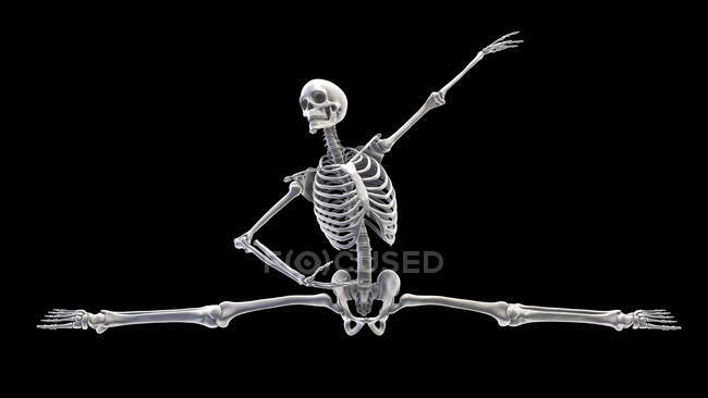 Anatomie einer Tänzerin, Computerillustration. Ein menschliches Skelett in Ballettpose, das die Skelettaktivität beim Balletttanz zeigt. — Stockfoto