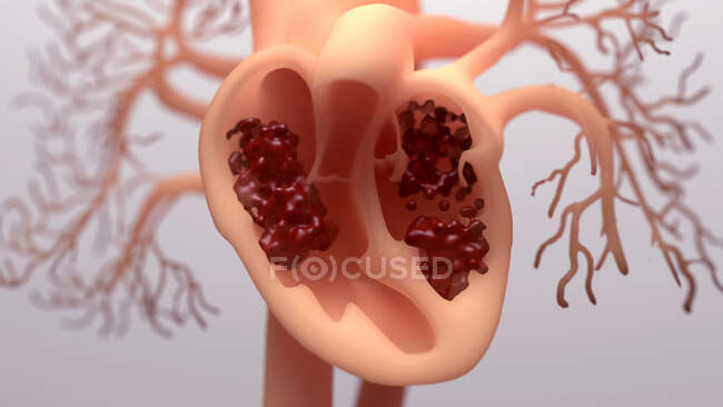 Pompage de sang autour d'un cœur humain, illustration. — Photo de stock