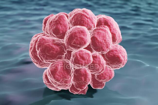Cellule tumorali che formano un tumore, illustrazione. — Foto stock
