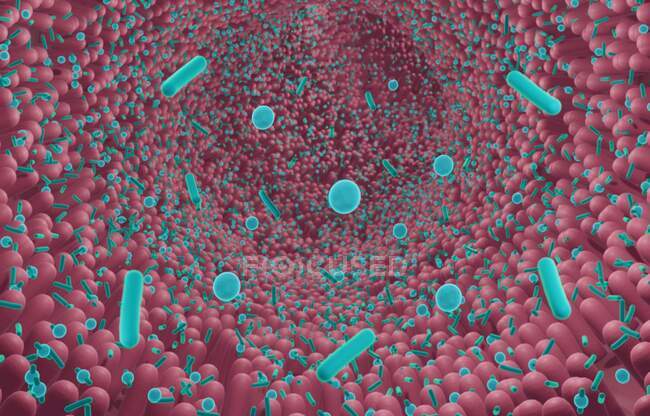 Batteri probiotici che aiutano la crescita di una flora intestinale sana. — Foto stock