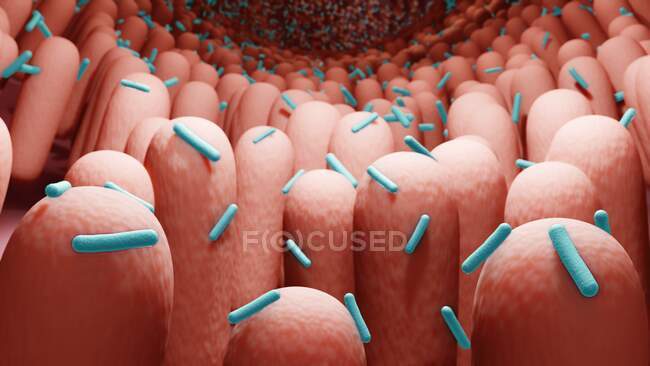 Ілюстрація мікробіологічних бактерій людини. — стокове фото