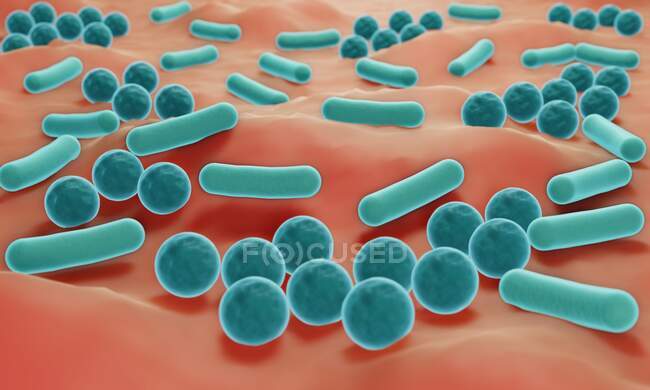 Bacterias en la superficie de la piel, ilustración. - foto de stock