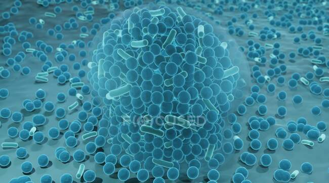 Ilustración de bacterias resistentes a los antibióticos que forman un biofilm. - foto de stock