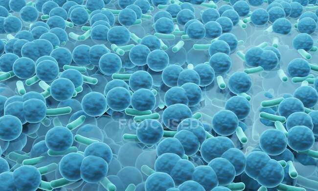 Ілюстрація стійких до антибіотиків бактерій, які утворюють біоплівки. — стокове фото