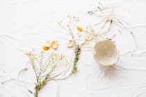 Composition avec brins de fleurs et écorces de mandarine — Photo de stock