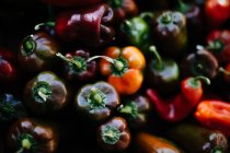 Frisch gepflückte bunte Paprika — Stockfoto