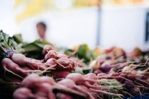 Fresh bunches of radish — Stock Photo