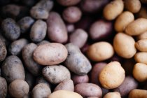 Heap of fresh potatoes — Stock Photo