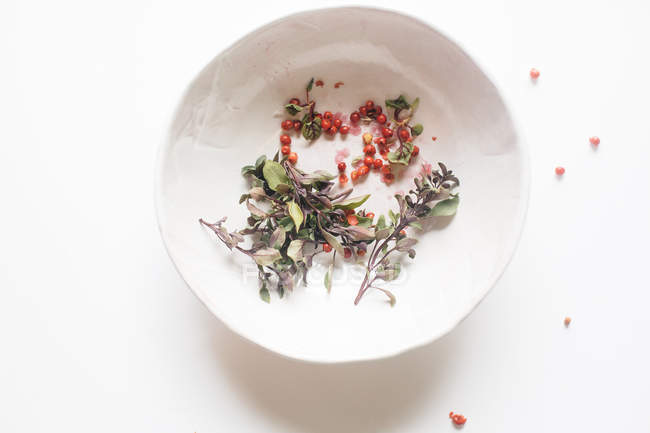 Berries and sprigs in ceramic bowl — Stock Photo