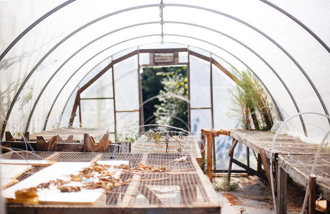 Greenhouse with empty trays — Stock Photo