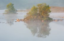 Morgennebel am See — Stockfoto