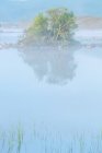 Niebla de la mañana en el lago - foto de stock