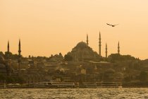 Linha do horizonte de Istambul vista do Estreito do Bósforo — Fotografia de Stock