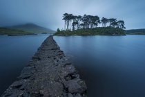 Isola di pino nel lago di Derryclare — Foto stock
