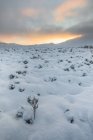 Сніг покриття Rannoch Moor — стокове фото