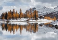 Clear water lake, trees and snowy slopes — Stock Photo