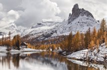 Чистое озеро, деревья и снежные склоны — стоковое фото