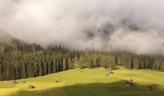 Туман над осенним лесом на склоне горы — стоковое фото