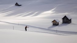Esquiador solitario rodeado de paisaje nevado - foto de stock