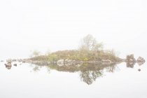 Маленький острів з деревами з відображенням — стокове фото