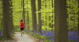 Mann läuft in blauem Wald — Stockfoto
