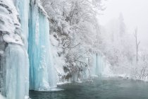 Frozen waterfalls and trees — Stock Photo