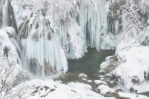 Замороженные водопады и деревья — стоковое фото