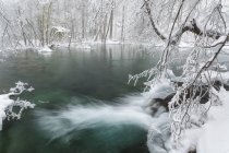Paesaggio congelato ai Laghi di Plitvice — Foto stock